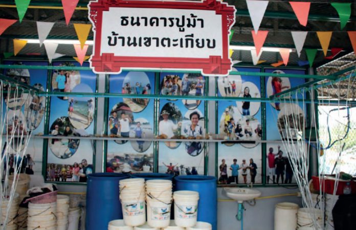 Bringing blue crab back to Thailand's seas